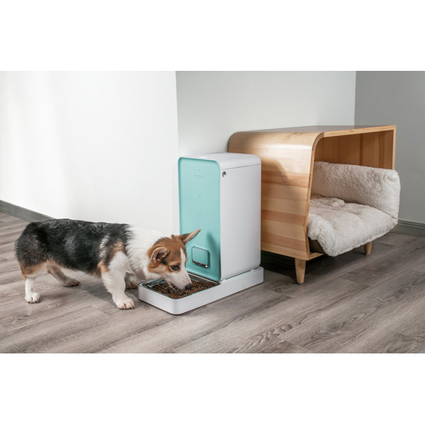 Petkit Fresh Element Smart Pet Automatic Feeder & Reviews Wayfair Canada